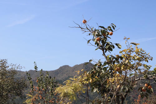 不远|山东一处风景区，与青州古城距离不远，被称为“养老院”