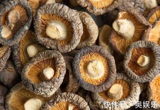 刺芽|想长寿全靠吃,3种食物不错过,补充营养,有益健康