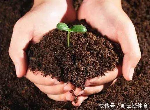 烂根|只要1样东西,保你的花从不烂根、黄叶,长得还比别人快10倍!