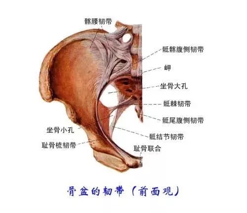骶髂关节紊乱|奖门人:产后腰腿痛,是椎间盘突出导致的吗?这个原因你可能忽视了