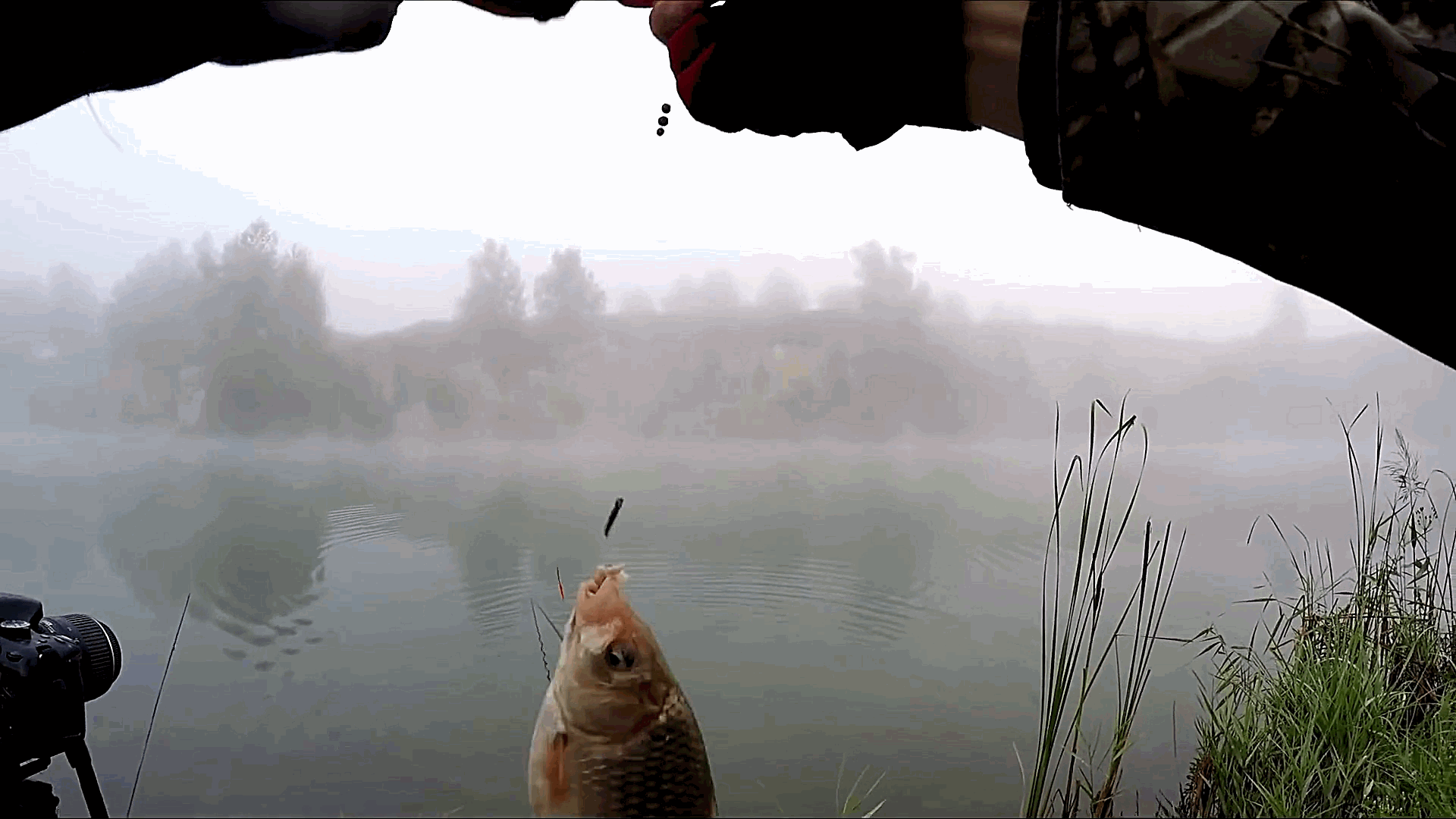 秋天钓鱼与夏季钓鱼有什么不同?通过这几方面的改变,不爆护都难