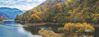  缤纷|追秋去 彩叶缤纷如打翻调色板