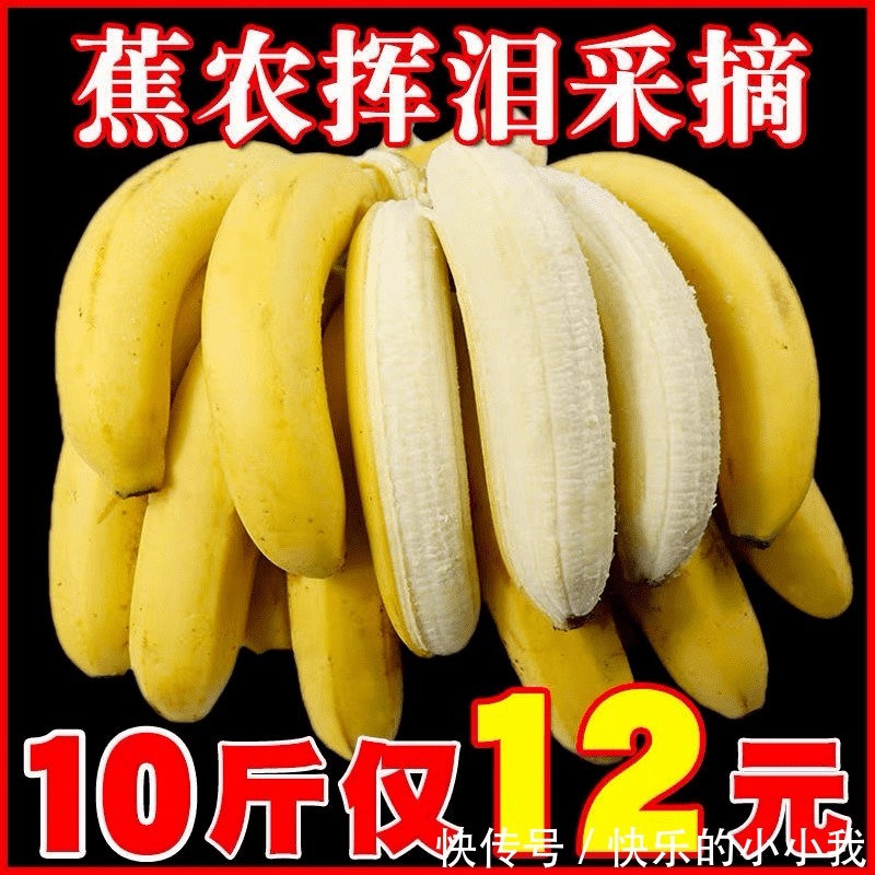 淘宝|这届淘宝怎么还是这么沙雕啊哈哈哈哈哈哈哈哈