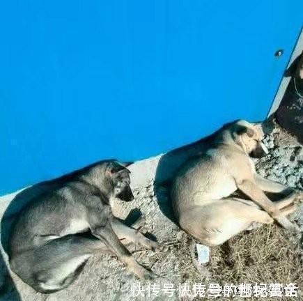 |开心一刻笑话:老婆下班回来跟我说,她们办公室里就她一人没驾照