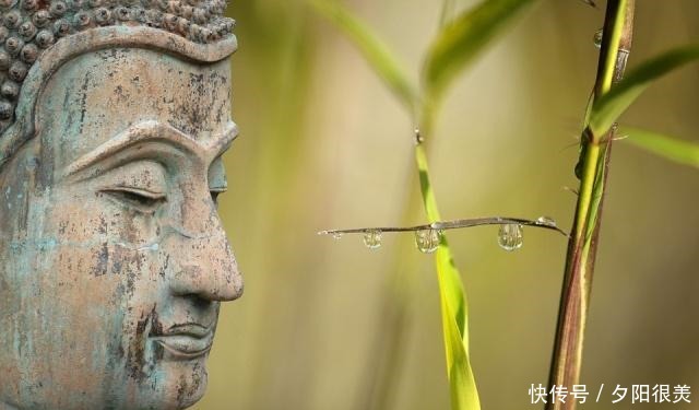 可惜|这四个字,字字值千金,不读可惜了