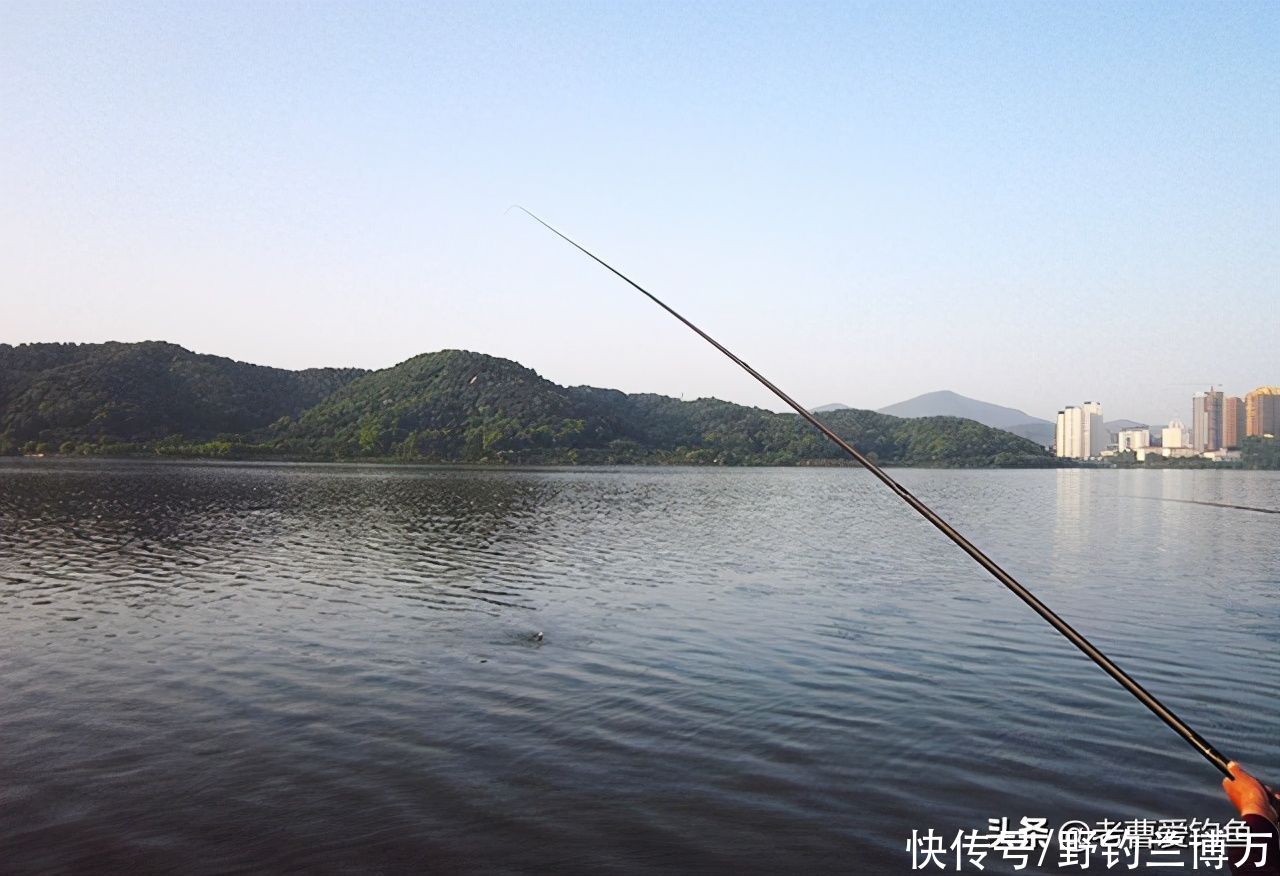 东边放生，西边钓鱼！放生人：钓鱼人不讲“武德”