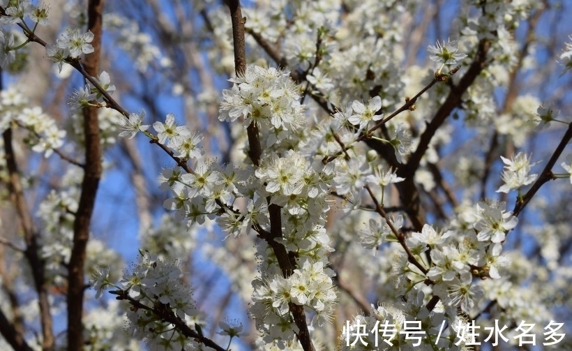 逆转|5天后，情缘逆转，甜蜜再续，回心转意，重启恋情，再不离弃