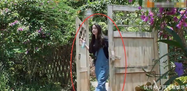 礼物|蘑菇屋下期迎来最“懂事”嘉宾,刚来就送何炅礼物,还帮黄磊摘瓜