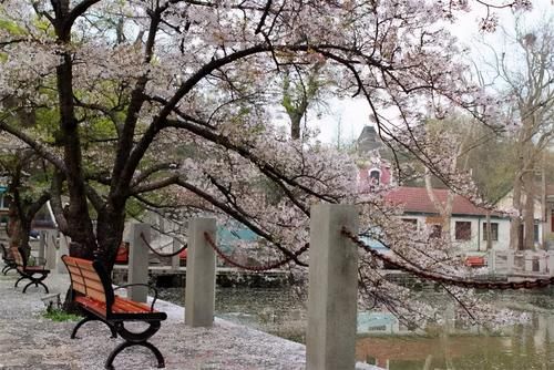 鸡公山|曾经比少林寺更出名的景区，可惜已经风光不再，平时游客都很少见