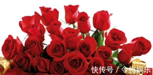 喜欢玫瑰就养这个品种,花开火红色,扦插就能活,阳台轻松变花海