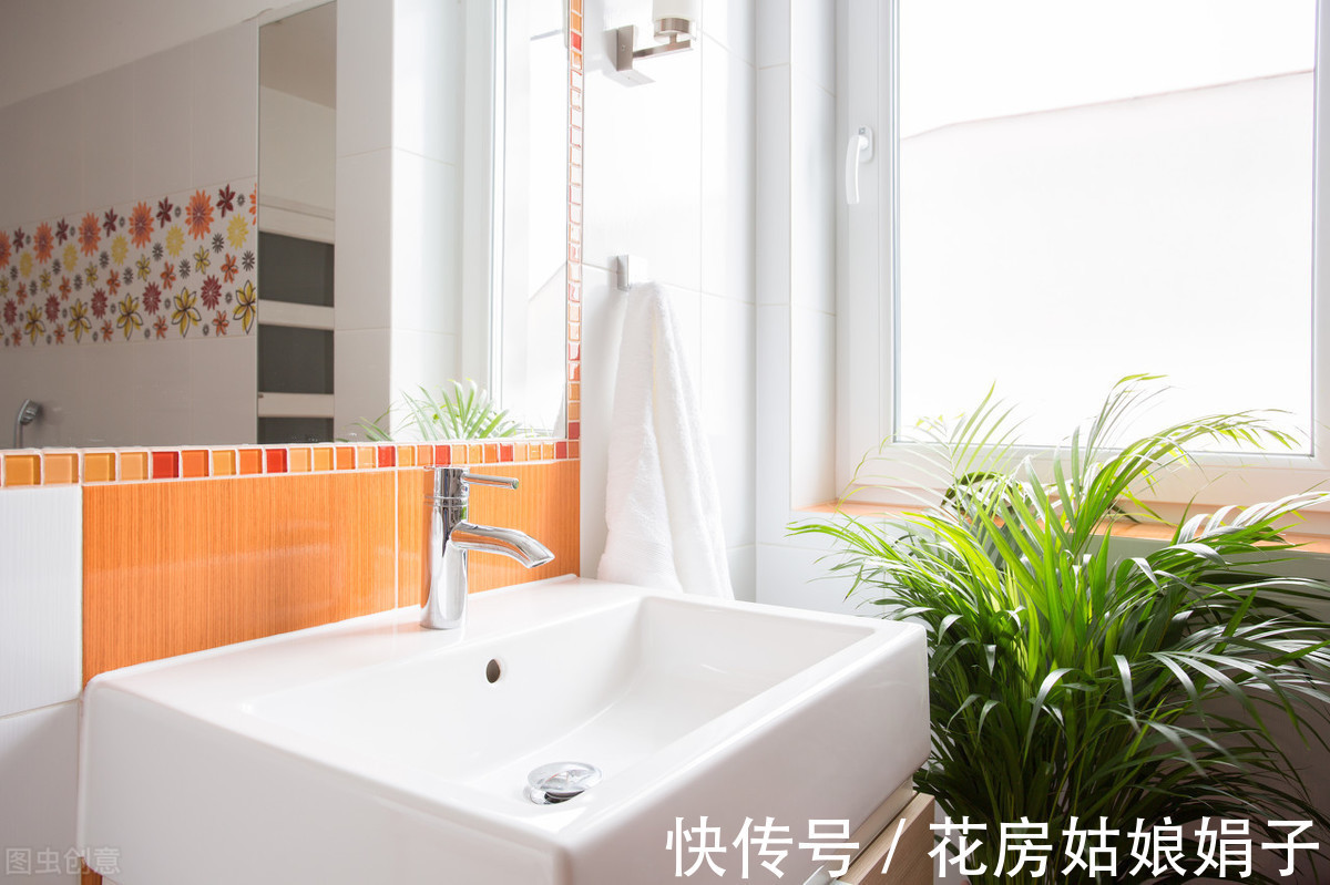 绿植|天热了，卫生间异味遮不住？养上一盆它，异味去无踪，为你解忧