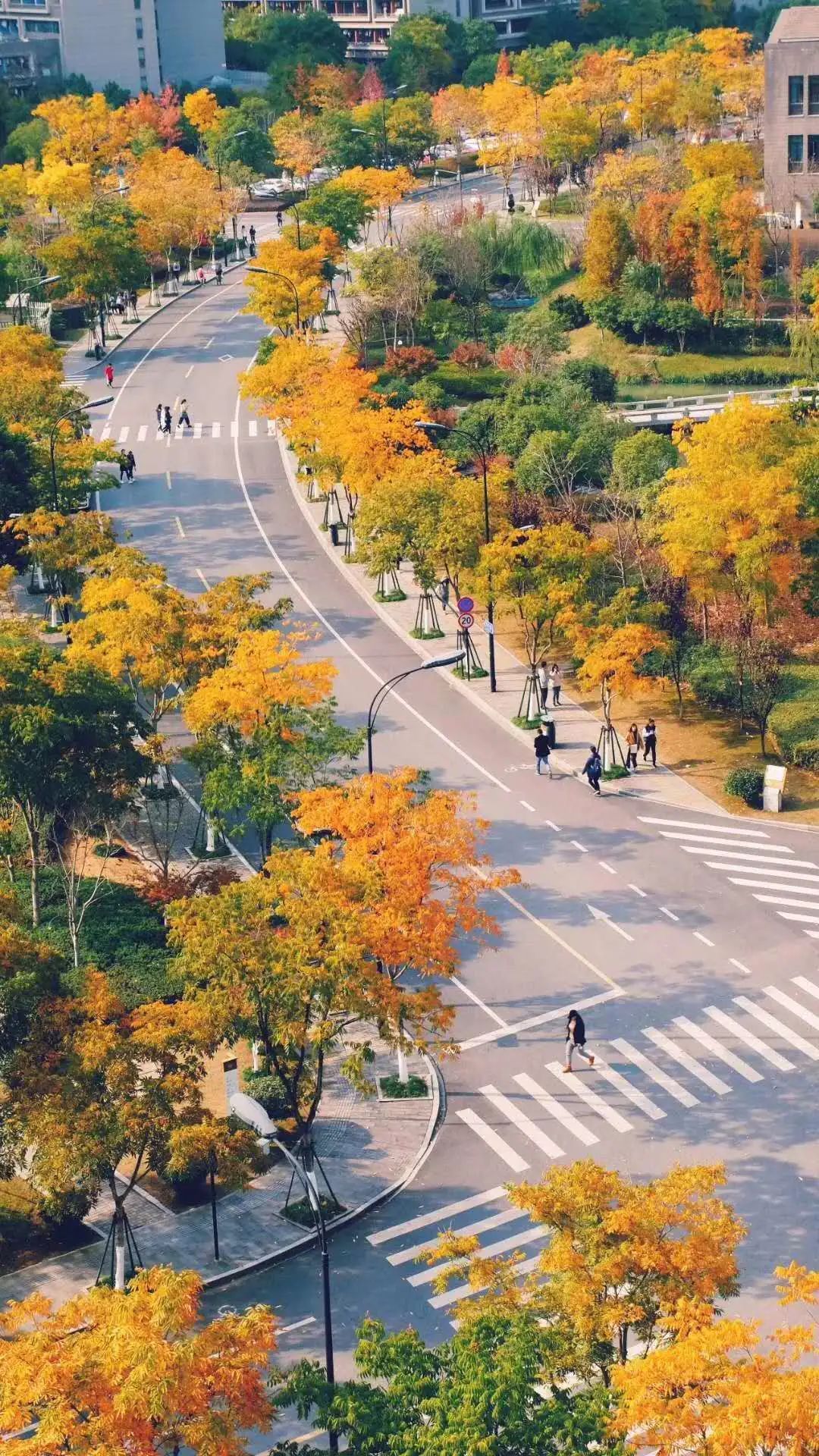 浙江水利水电学院|钱塘大学城秋景，美出圈！