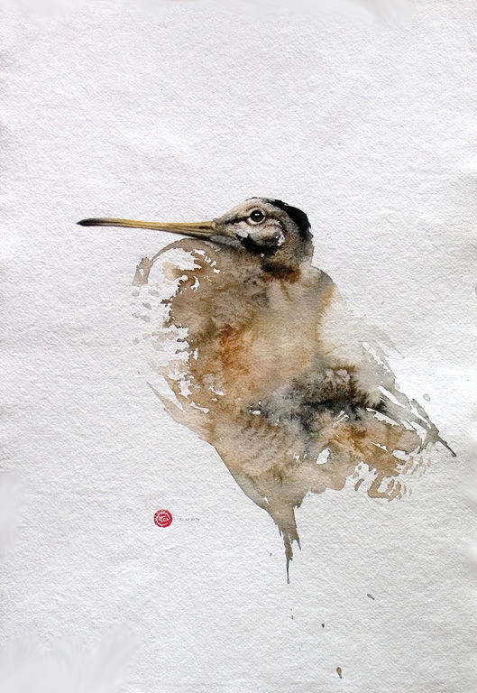 水彩艺@水彩艺术家卡尔·马尔滕斯画的鸟,惟妙惟肖!