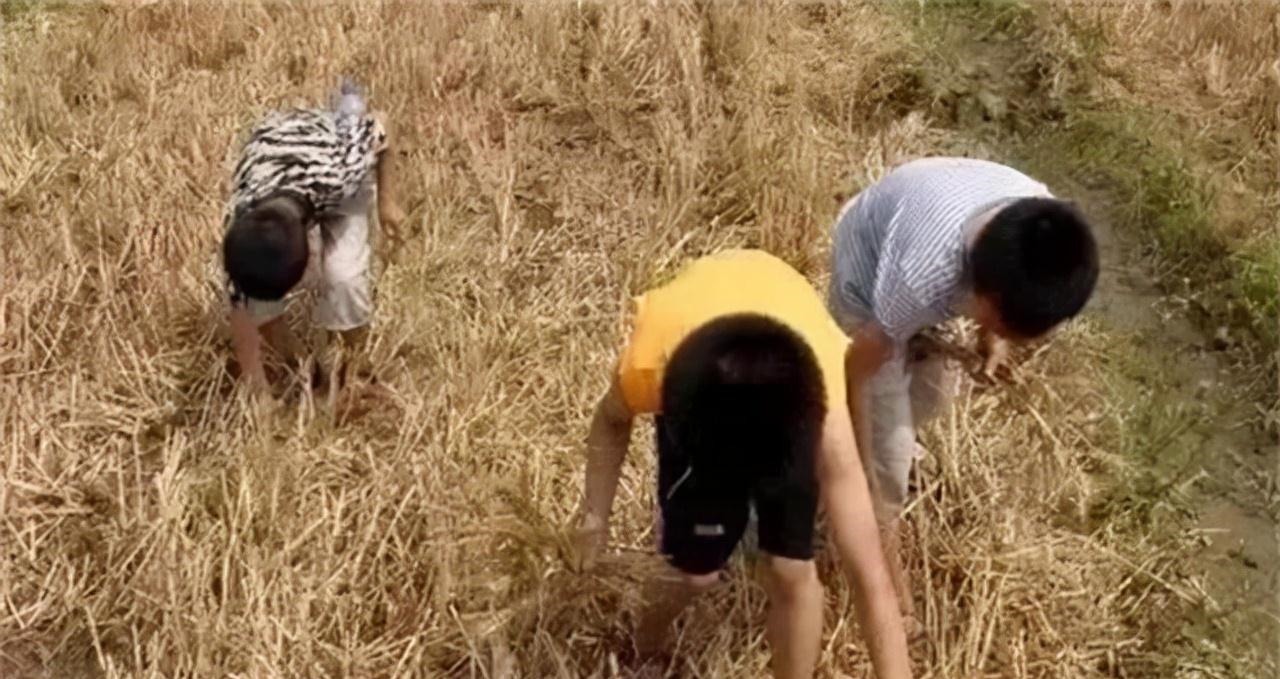 麦穗#莫言:我有一种偏见,我认为文学作品永远不是唱赞歌的工具