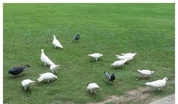 爸妈|寒从脚底生，是真的吗？关于夏季养娃的科普，很多爸妈知道的太晚