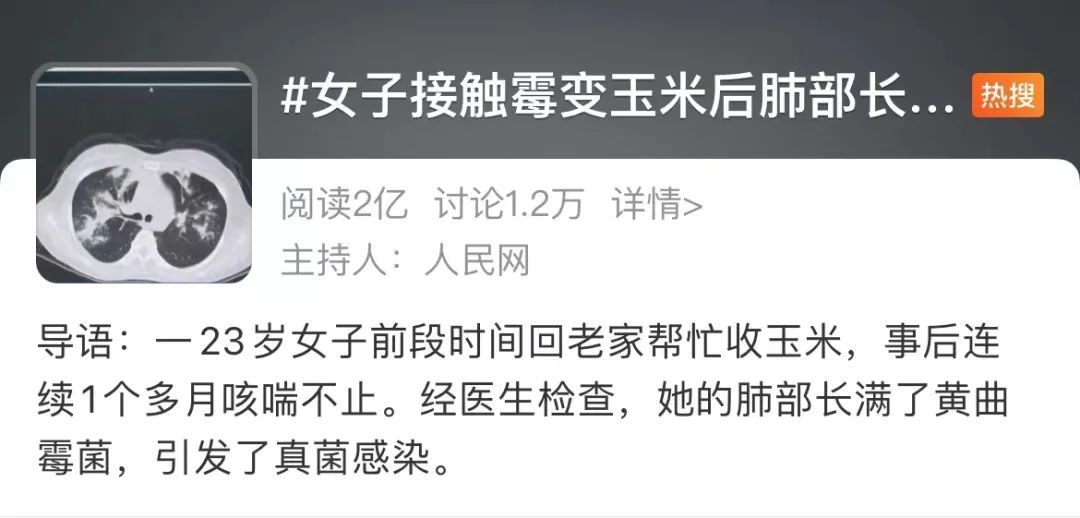 玉米|【警惕】回家帮忙收玉米后，肺部竟然长满真菌？这个霉菌，离你很近→
