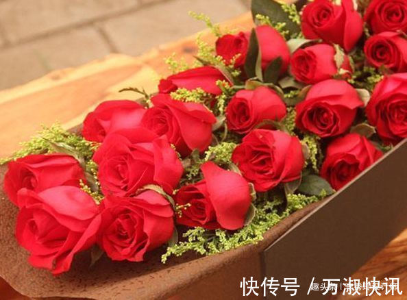 喜欢玫瑰,不如养“进口优品”卡罗拉,红艳似火,花姿绝美!