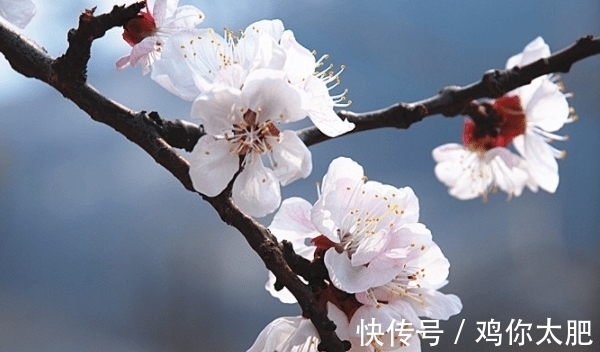 天蝎座|9.1号开始,好运来临,财运挡不住,吉祥关照,事业有成