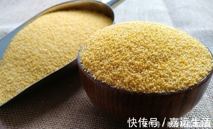 米油|熬小米粥,直接用清水熬是外行牢记4点,粥香浓黏稠,米油厚厚