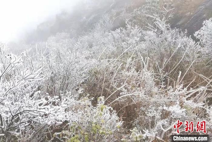 宁德|福建宁德多地雾凇冰挂景观来袭 吸引游客观光拍照