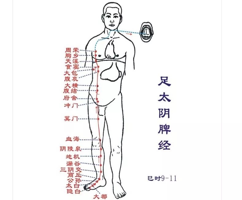 脏腑|寒从脚下起,病从脚底除!