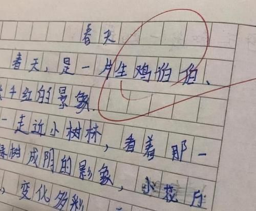 小学生一篇作文《我的小姨》走红，说出小姨的故事，有趣还可爱