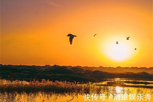 元曲$元曲巅峰对决,马致远和白朴各作一首《天净沙》,谁的意境更高?