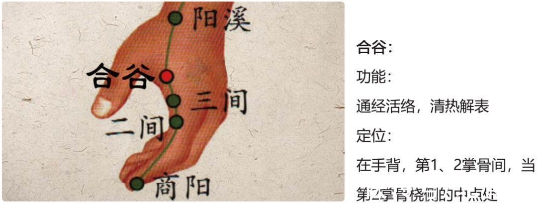 艾灸|经络一堵，百病生！用好这五个穴位，疏通经络百病消