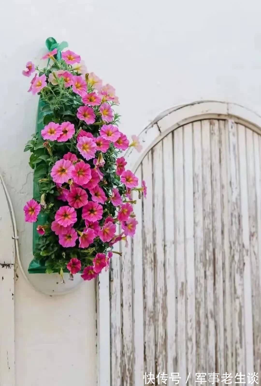 我想有个庭院,有书有茶还有你