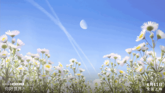 壁纸|每一帧都值得收藏!《你好世界》发布唯美动态壁纸