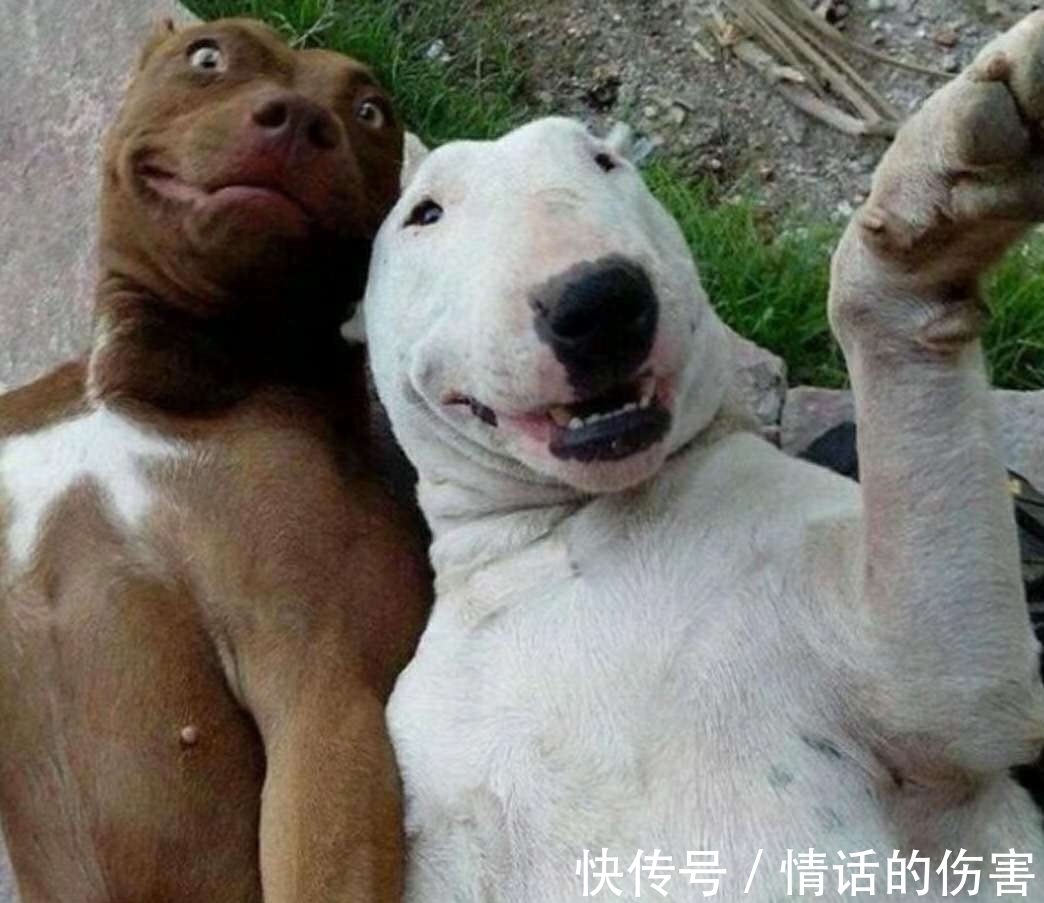 |幽默搞笑笑话:昨天晚上回家的时候,在楼道里面遇到一个可疑男子