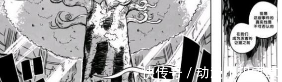 世界政府|海贼王:乔艾莉·波妮竟然是暴君熊的母亲,信息量太大