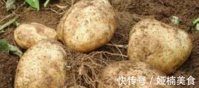 “它”是蔬菜也是水果,只卖2元一斤,却比羊肉养人,比牛肉滋补