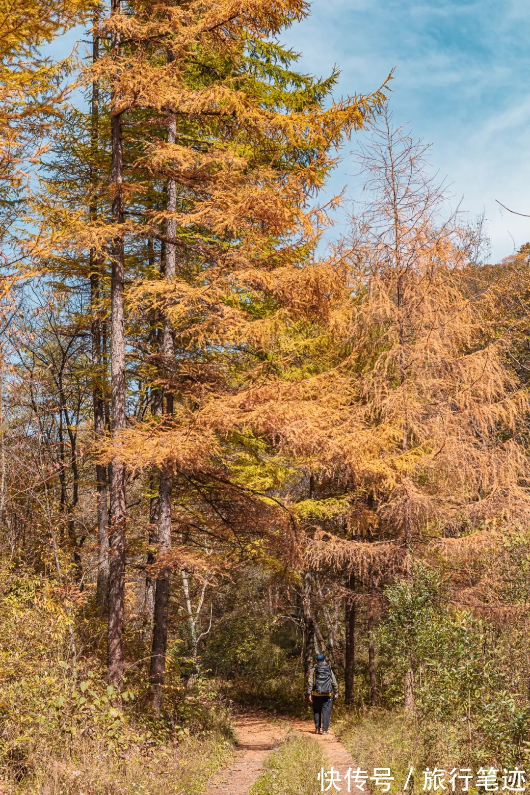 许家山|秘境徒步｜秦岭留坝深处这四条线路，惊艳了整个秋天