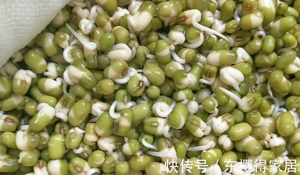 豆芽|家庭自制绿豆芽,教你5个小秘诀,豆芽4天就能吃,安全卫生又营养