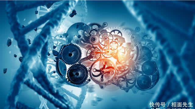 用计算机真正模拟生命还要多久