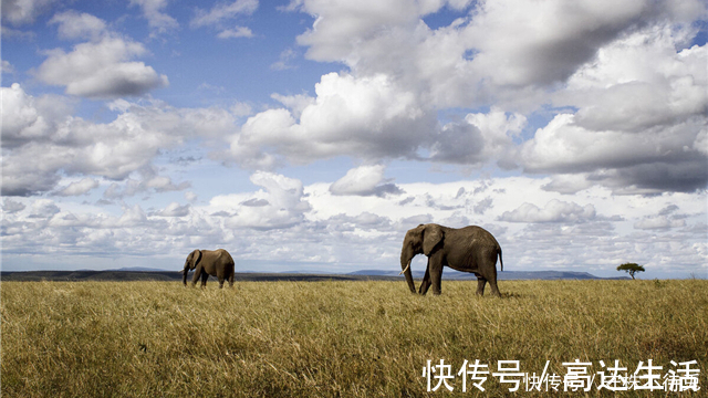 16个冷知识：真实存在着，或许也曾知晓过的有趣知识