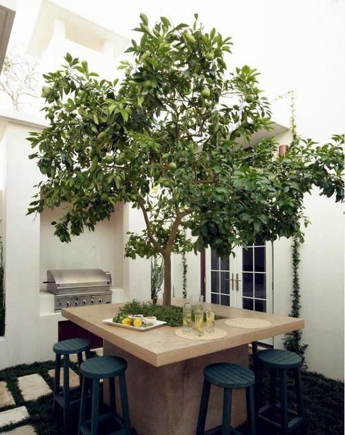 聚会|好看这样布置一个家庭小院,聚会玩乐都能行,看完就想建一个