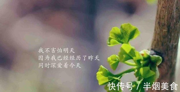 追风筝的人|书中那些令人惊艳的句子，时尚拉风，看一眼就想分享