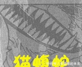 大妈|海贼王981图文情报马尔科用爪子踹飞大妈海贼团，以藏也露面了