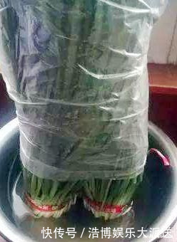 吃不完的韭菜,万万别放冰箱!菜农教的土法子,放一周照样新鲜