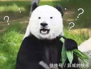 |有人喜欢玩养成类游戏吗? 每日搞笑段子