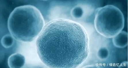 单细胞|这本800万字的小说,从主角是一个单细胞写起,到现在还未完结