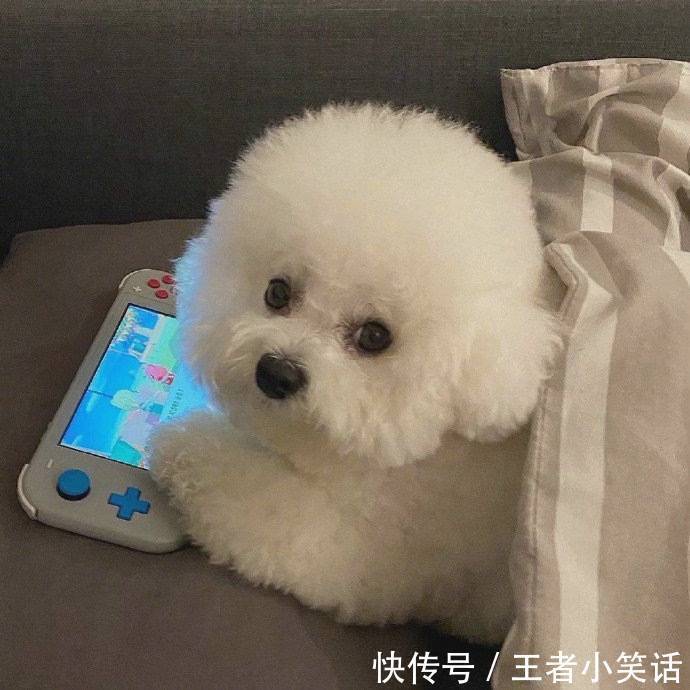 |【被窝段子】因为梦想 所以选择远方;因为无所依靠 所以必须坚强