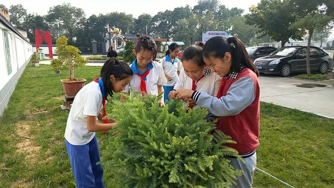 寓教于乐|【志愿服务我先行】小丰营小学：寓教于乐 服务社会