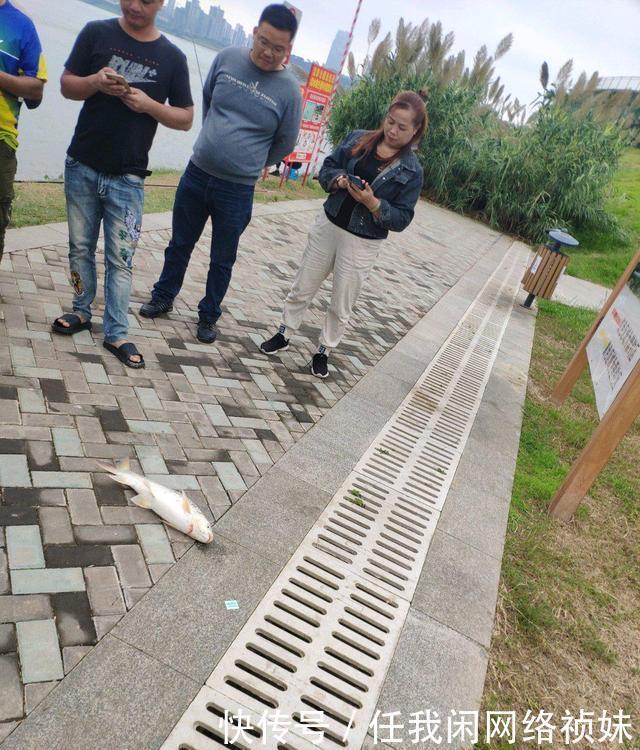 天津河道边,有人用“高科技”频频钓大鱼,当街售卖150一条