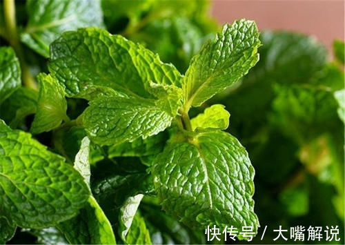 食物|天气变寒冷了,推荐您多吃三种食物,通肠排便,营养细化好吸收