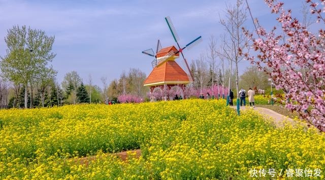 走，带上家人去野餐！《济南春日野餐指南》请收好！