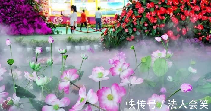 花博会|国庆首日超火热！花博会现场“吃喝玩乐”畅快嗨