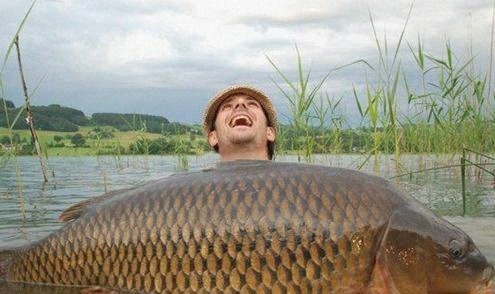亚洲|亚洲鲤鱼泛滥全世界,在美国胖成100斤,中国吃货:成精了吧